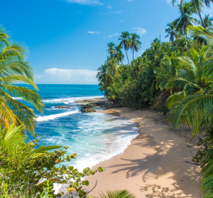 Abgelegener Sandstrand mit t&uuml;rkisfarbenem Meer, umgeben von dichtem Palmenwald.