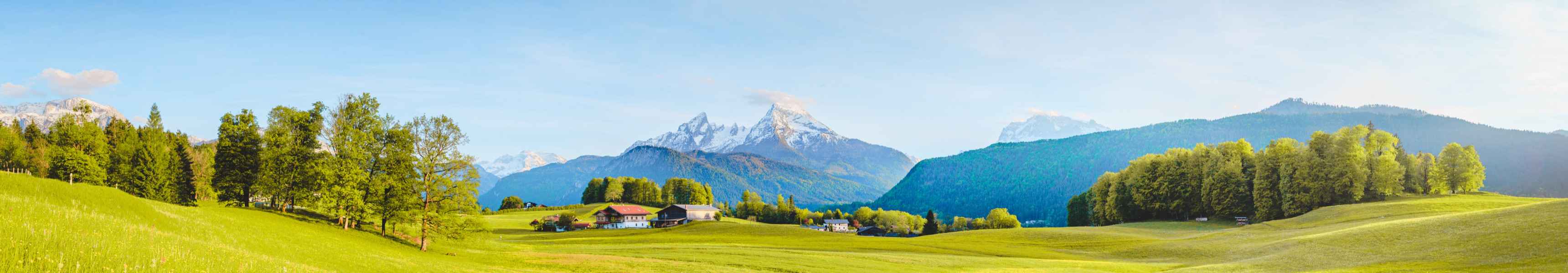 Berchtesgadener Land mit Wiesen, B&auml;umen und Bergen im Hintergrund.