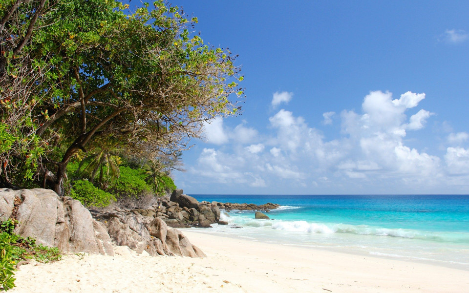 Wei&szlig;er Sandstrand mit Meer und B&auml;umen