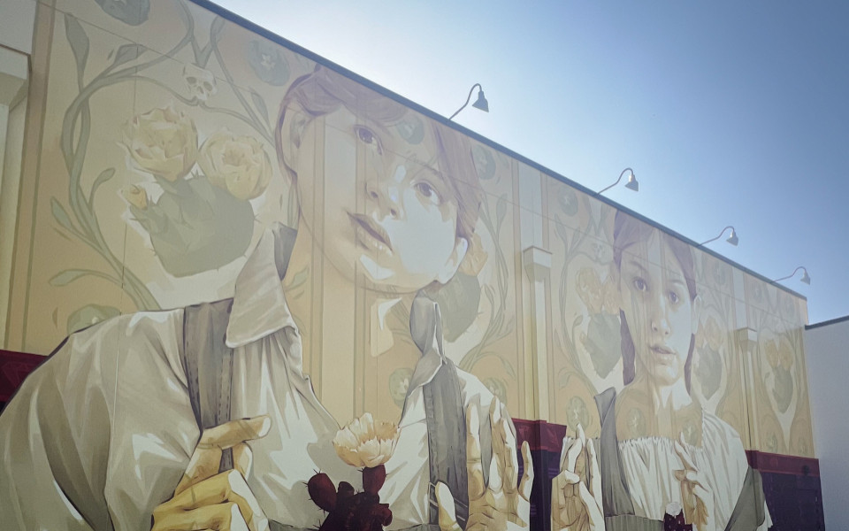 Stra&szlig;enkunst zu sehen auf einer Hauswand in San Antonio, Texas