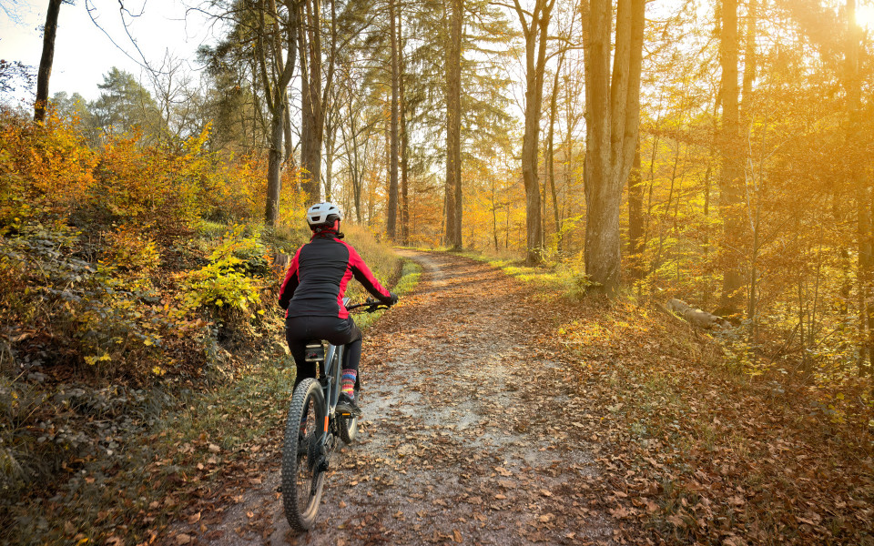 Frau radelt mit elektrischem Mountainbike bei Sonnenuntergang in einem farbenfrohen Herbstwald in Baden-W&uuml;rttemberg in Deutschland